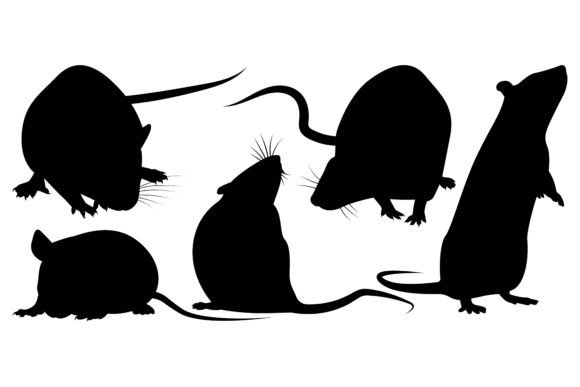 Animal Rat or Mouse Silhouettes Vector: Your Go-To Design Asset