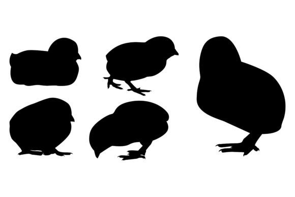 Charming Farm Animal Newly Born Hen Silhouettes for Your Projects