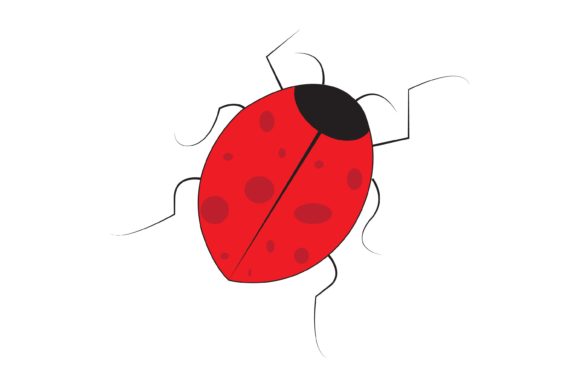 Exploring the Bold Aesthetic of Beetle Animal Illustration