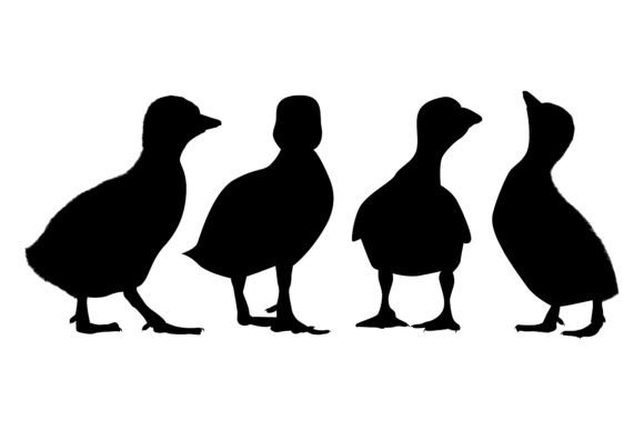 Farm Animal Newly Born Duck Silhouettes: A Charming Design Asset