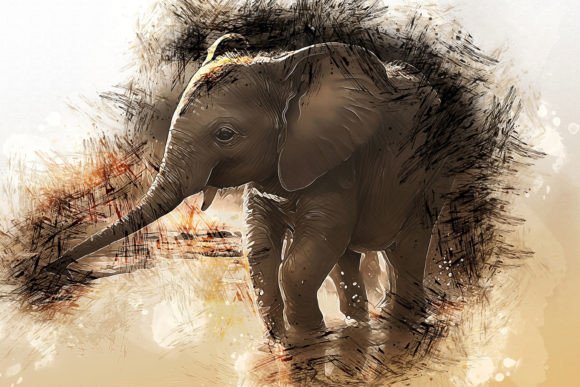 Printable Animal Graphics #23: Quality Art for Any Project