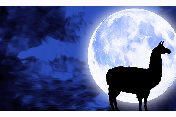 Under the Stars with Llama Animal Night Moon
