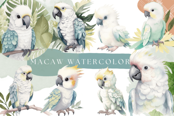 White Macaws Parrot Animal Watercolor: A Designer's Guide to This Versatile Asset
